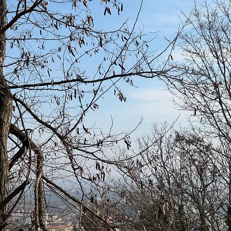 White Rose Hill Luxury